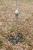 E MScloud Soil Set  21- 3