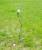 E MScloud Soil Set  22- 8