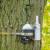 E MScloud Increment  01 Dendrometer on tree