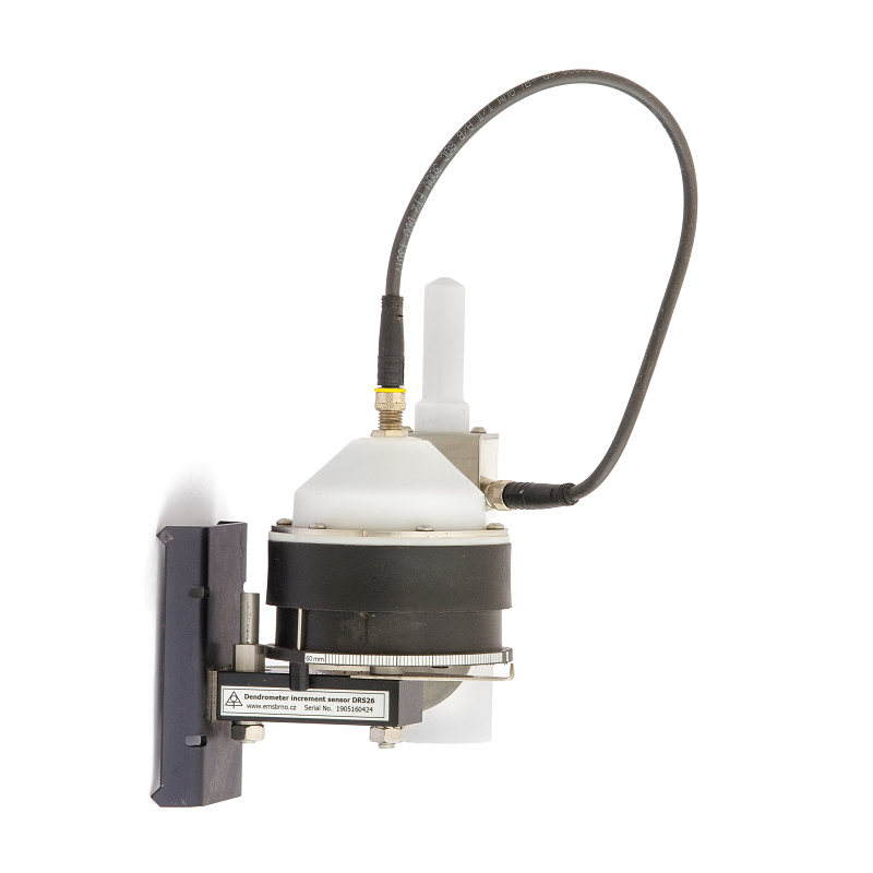 E MScloud Increment  01 Dendrometer