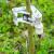 Pivot dendrometer sensor on tree 2