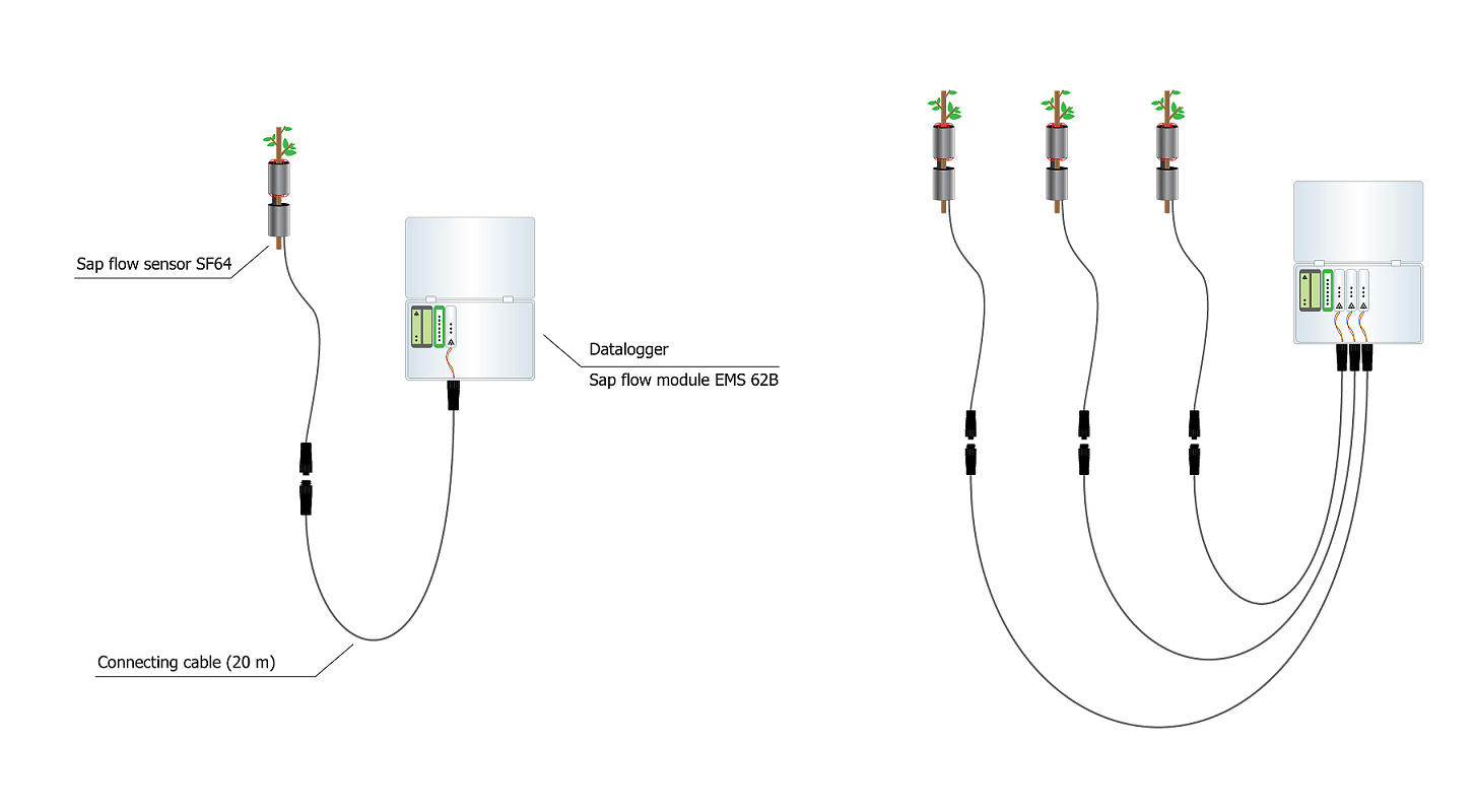 Sap flow system EMS62 EMS Brno