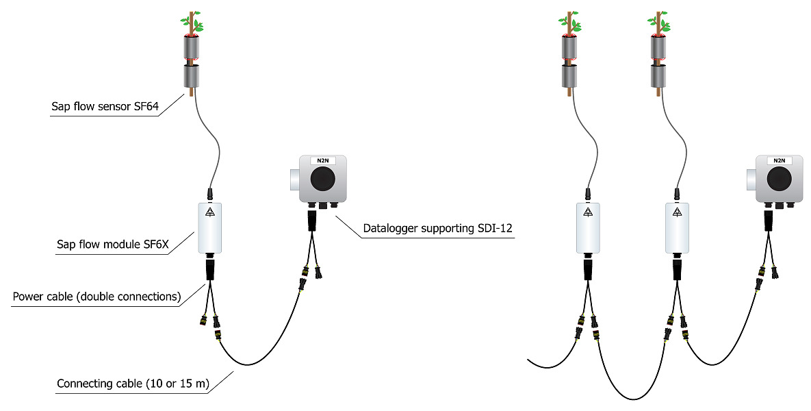 Sap flow system EMS64 SDI12 EMS Brno