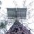 Solar panel mounted on tree trunk